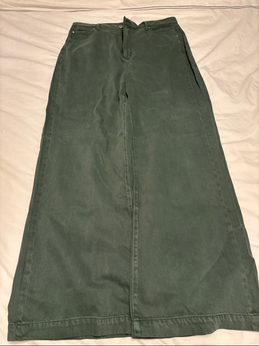 Ann Taylor Olive-Green Pants
